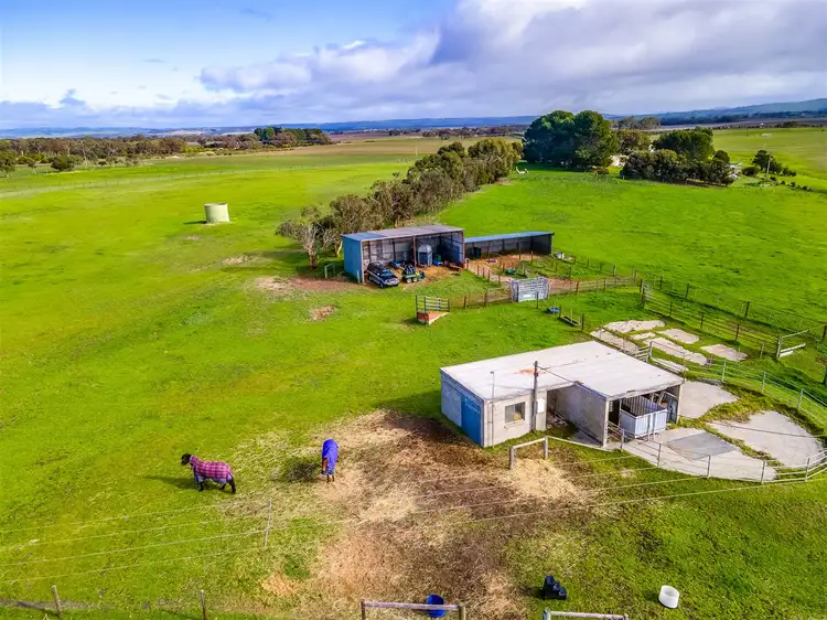 Fourth view of Homely rural property listing, 280 Sorrells Road, Finniss SA 5255