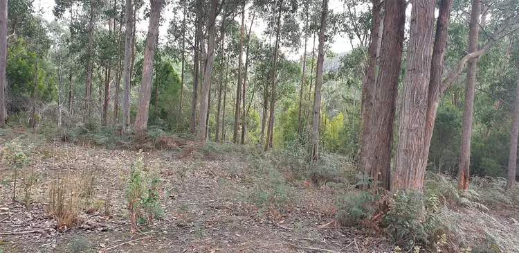 Second view of Homely land listing, 1706 Frankford Rd, Frankford TAS 7275