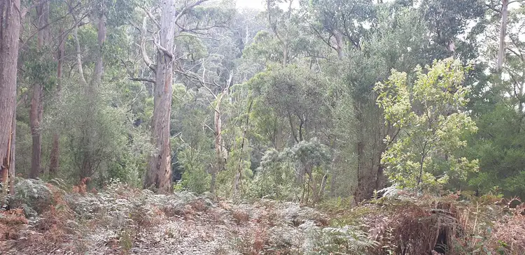 Third view of Homely land listing, 1706 Frankford Rd, Frankford TAS 7275