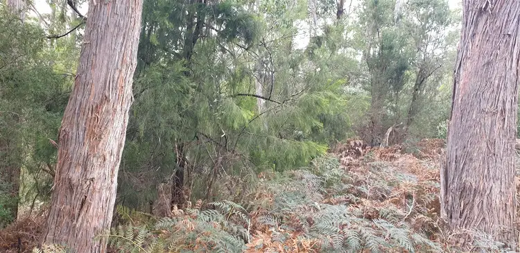 Sixth view of Homely land listing, 1706 Frankford Rd, Frankford TAS 7275