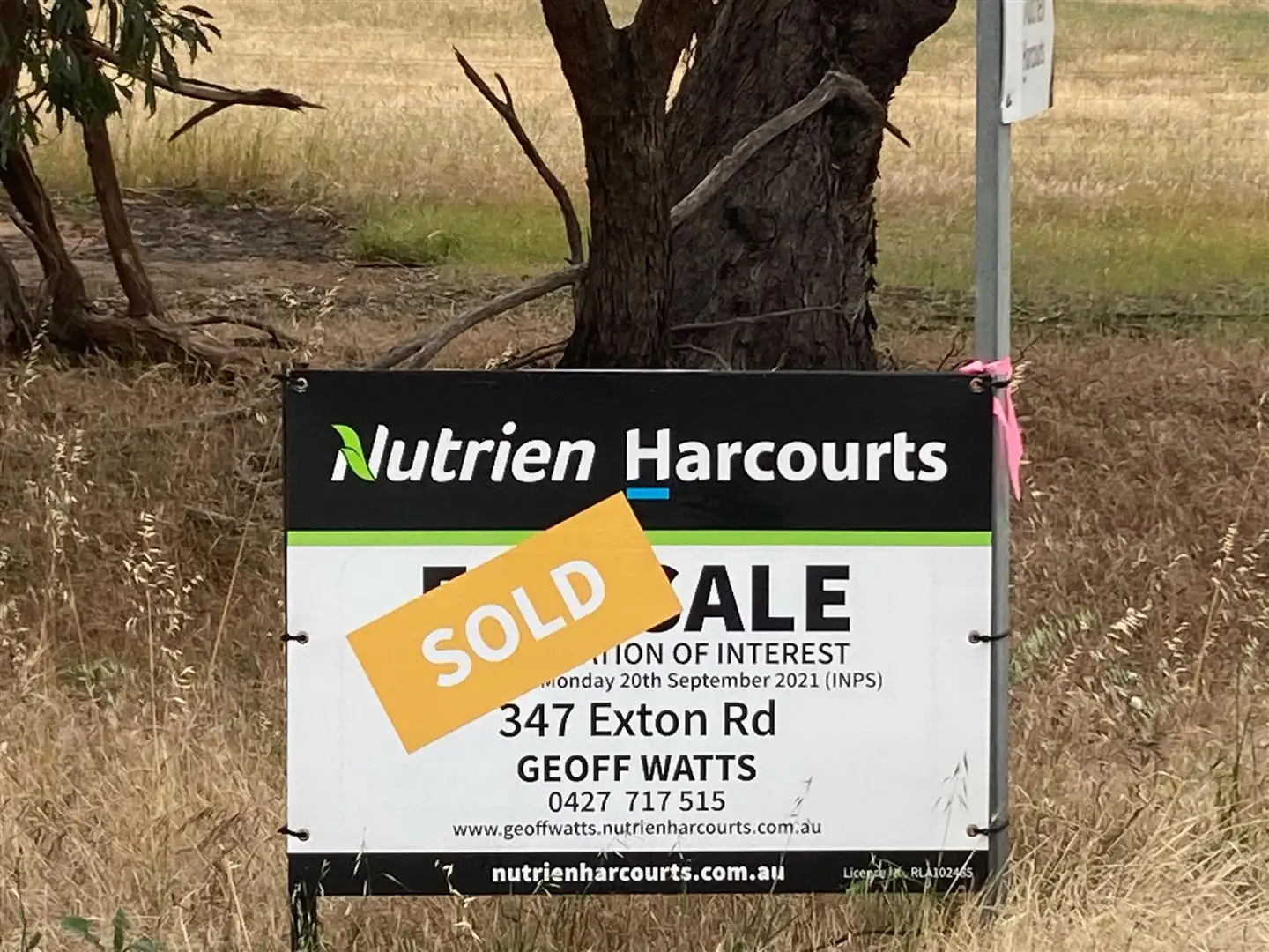 Main view of Homely rural property listing, 347 Exton Road, Bordertown SA 5268