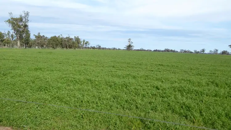 Fifth view of Homely rural property listing, 347 Exton Road, Bordertown SA 5268