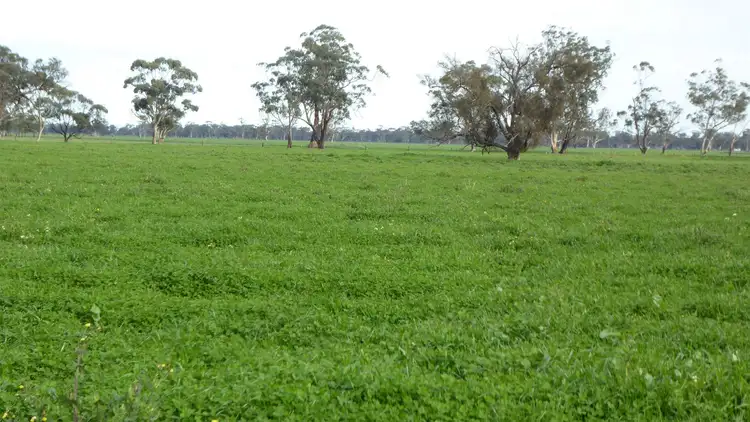 Sixth view of Homely rural property listing, 347 Exton Road, Bordertown SA 5268