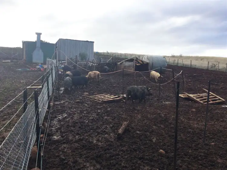 Sixth view of Homely land listing, 8385 Midland Highway, Tunbridge TAS 7120