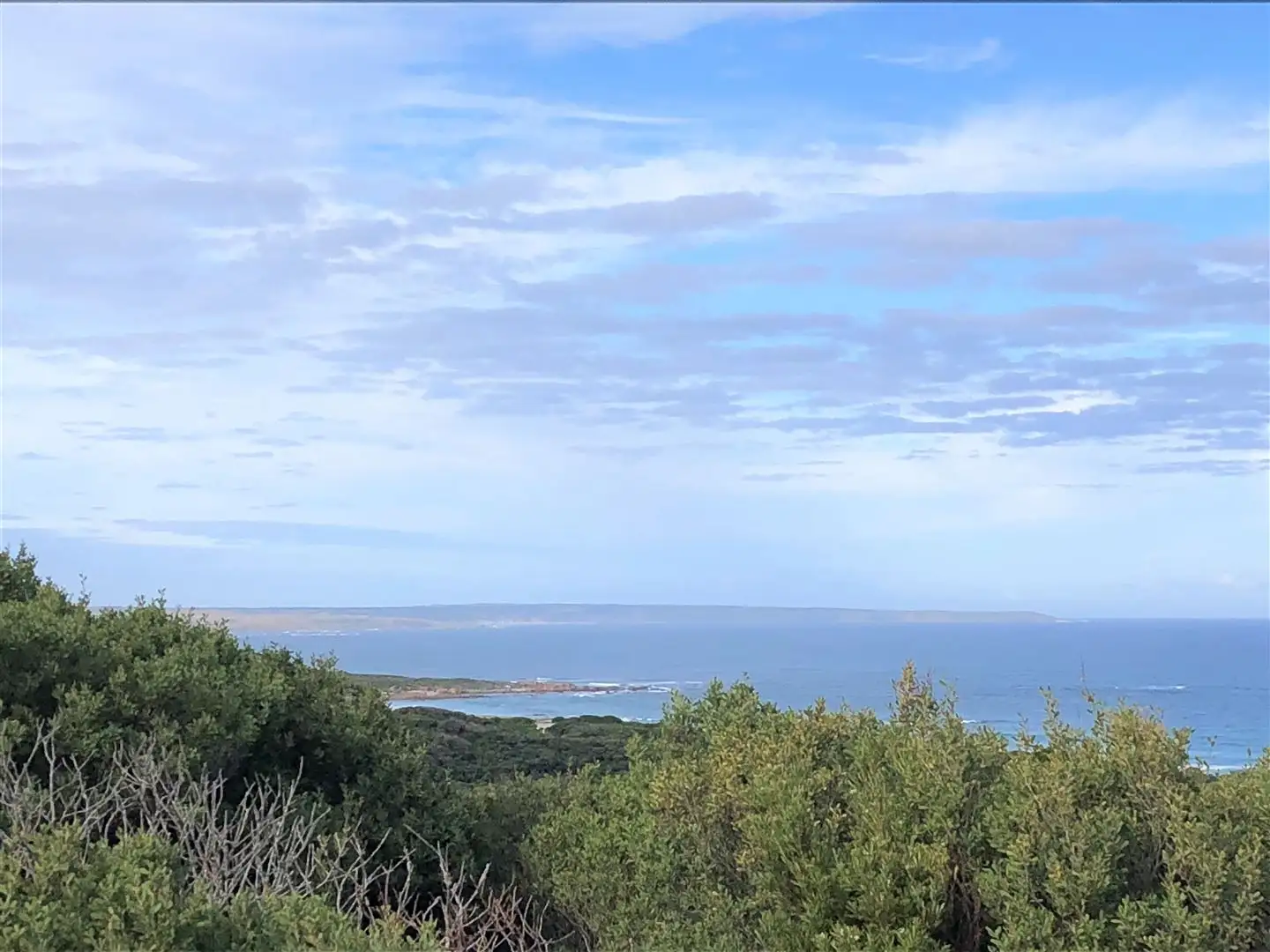 Main view of Homely rural property listing, Lot 4 Netherby Road, Currie TAS 7256