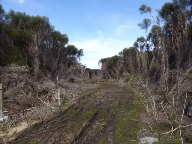 Third view of Homely land listing, PID 6433819 Palana Road, Whitemark TAS 7255