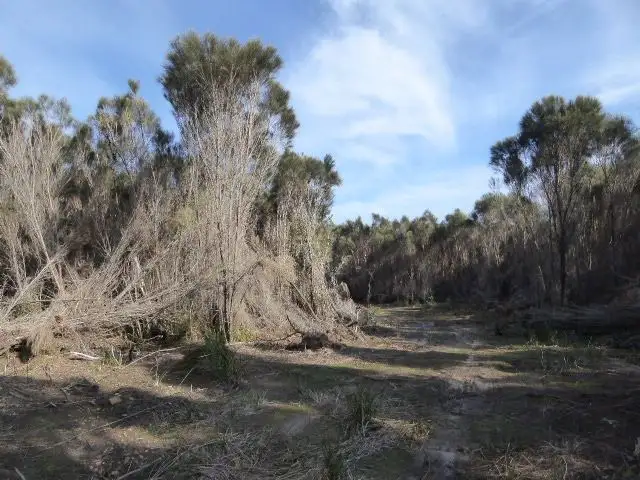 Fifth view of Homely land listing, PID 6433819 Palana Road, Whitemark TAS 7255