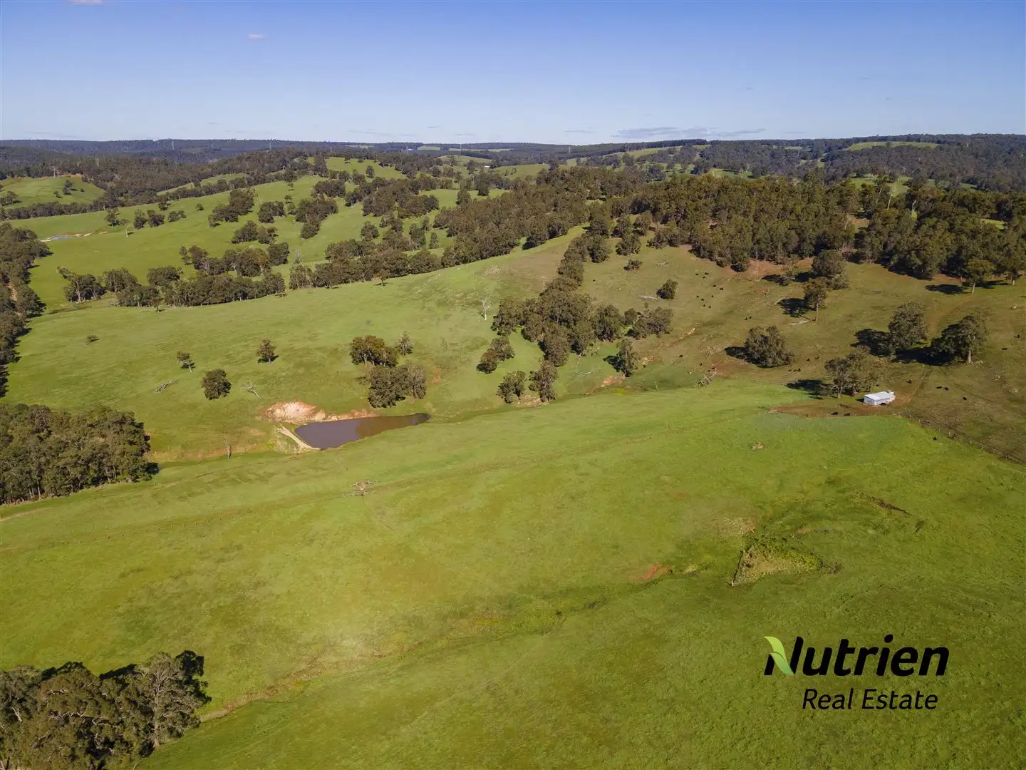 Main view of Homely rural property listing, 996 Beela Road, Beela WA 6224