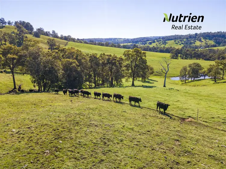 Fourth view of Homely rural property listing, 996 Beela Road, Beela WA 6224