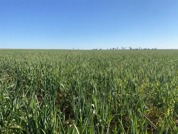 Third view of Homely rural property listing, . "South Block", Gabbin WA 6476