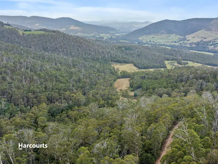 Second view of Homely land listing, RA Off Williscroft Road, Judbury TAS 7109