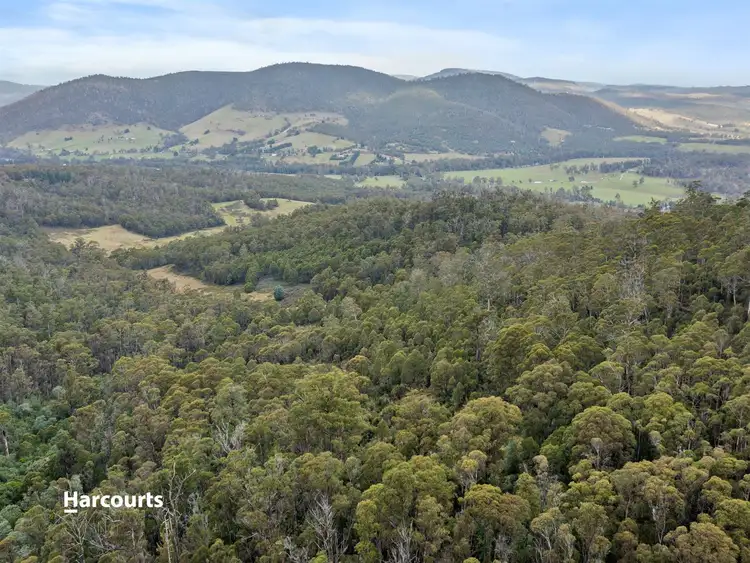 Fifth view of Homely land listing, RA Off Williscroft Road, Judbury TAS 7109