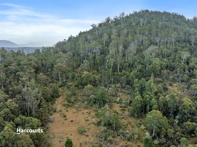 Seventh view of Homely land listing, RA Off Williscroft Road, Judbury TAS 7109