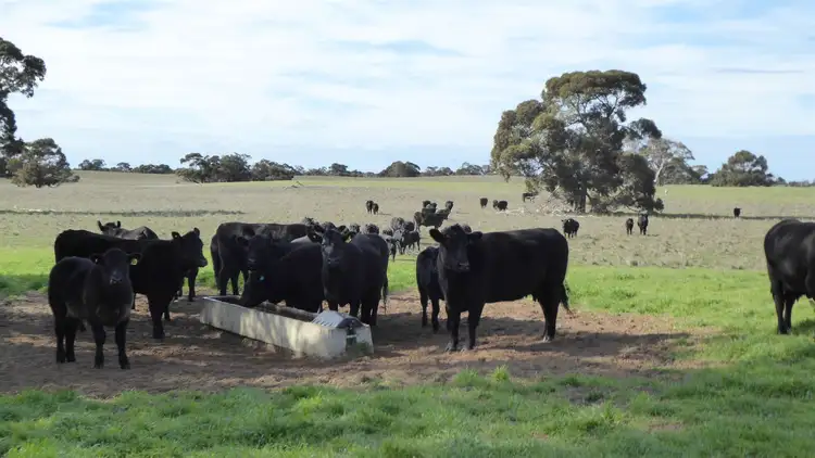 Fifth view of Homely rural property listing, Sec 59 1100 Tauragat Well Road, Coonalpyn SA 5265