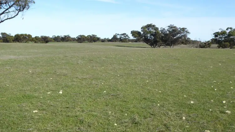 Sixth view of Homely rural property listing, Sec 59 1100 Tauragat Well Road, Coonalpyn SA 5265