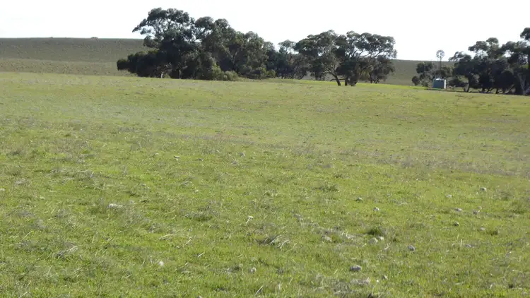Seventh view of Homely rural property listing, Sec 59 1100 Tauragat Well Road, Coonalpyn SA 5265