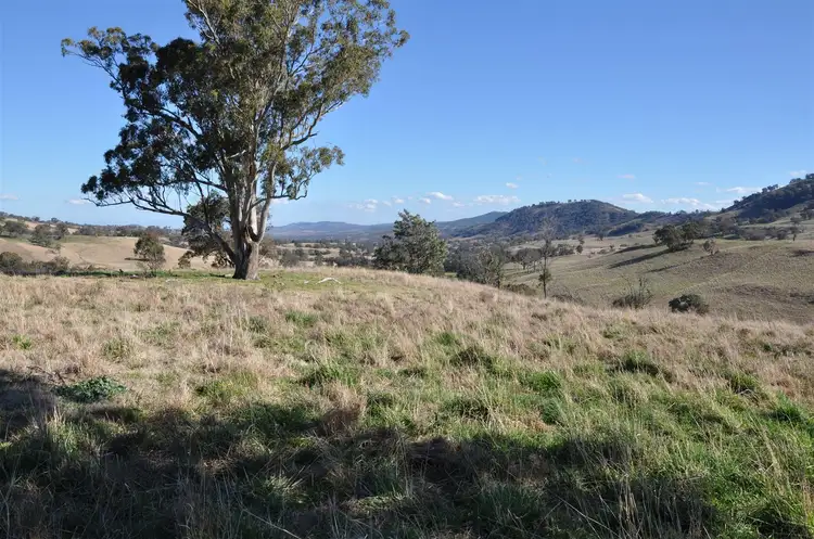 Third view of Homely rural property listing, 'Towarri' 2360 Upper Dartbrook Rd, Kars Springs via, Scone NSW 2337