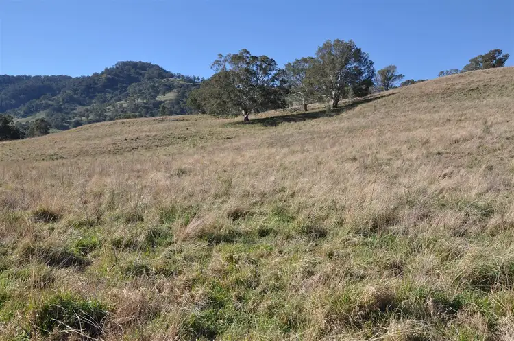 Fourth view of Homely rural property listing, 'Towarri' 2360 Upper Dartbrook Rd, Kars Springs via, Scone NSW 2337