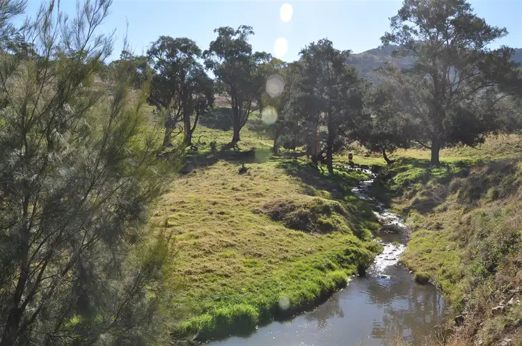 Sixth view of Homely rural property listing, 'Towarri' 2360 Upper Dartbrook Rd, Kars Springs via, Scone NSW 2337
