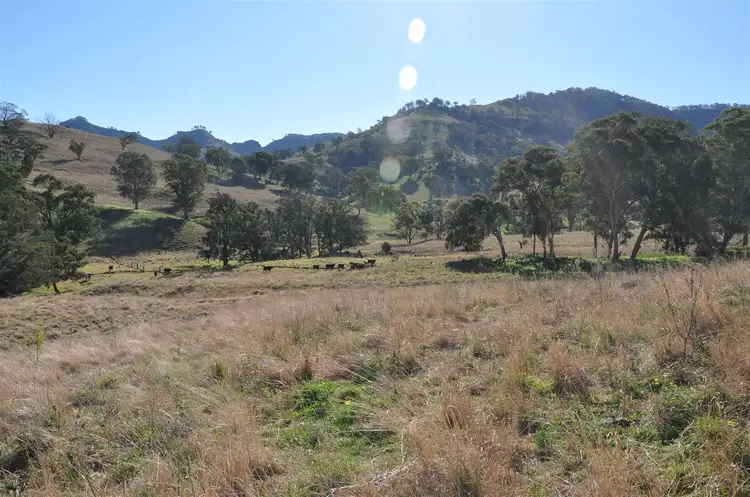 Seventh view of Homely rural property listing, 'Towarri' 2360 Upper Dartbrook Rd, Kars Springs via, Scone NSW 2337