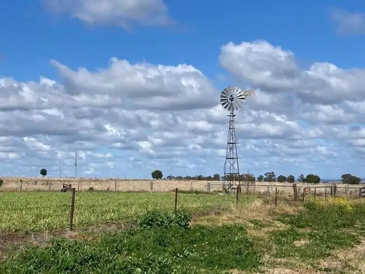 Second view of Homely rural property listing, 1391 Cudmore Road, Nobby QLD 4360