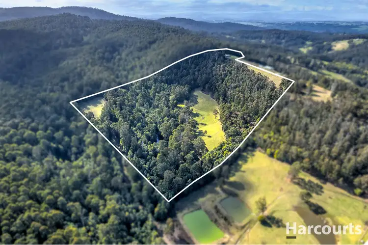 Second view of Homely rural property listing, 135 Bayview Road, Jindivick VIC 3818