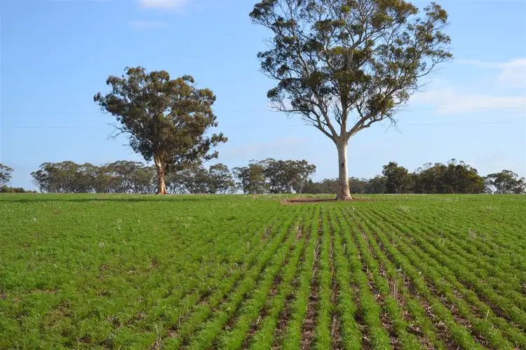 Second view of Homely rural property listing, . Belmunging, Meckering WA 6405