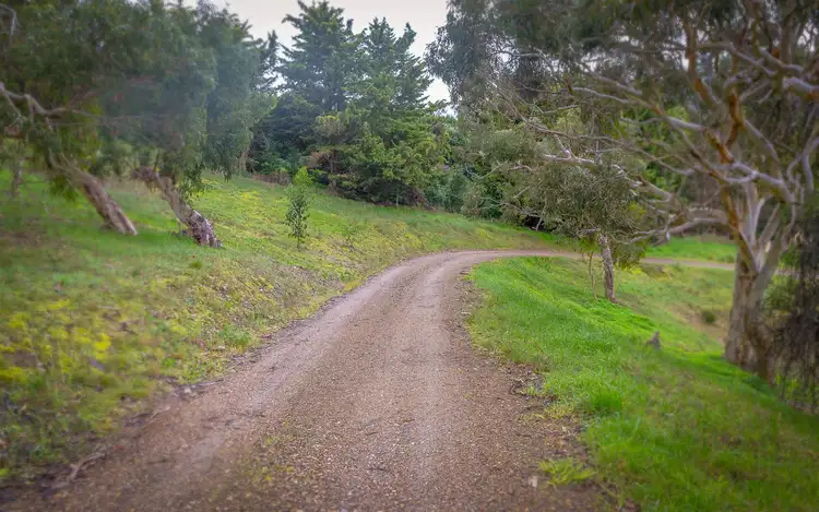Fifth view of Homely house listing, 115 Boards Road, Wattle Flat SA 5203