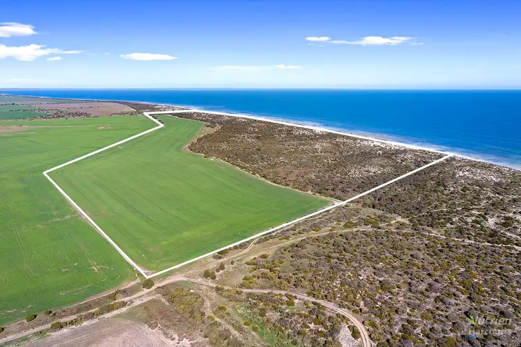 Main view of Homely rural property listing, Lot 12 Watson Beach Road, Minlaton SA 5575