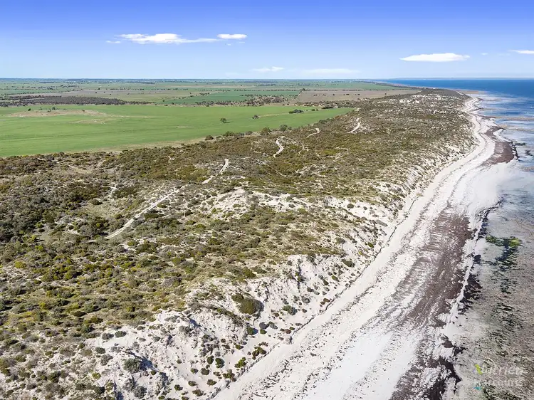 Fourth view of Homely rural property listing, Lot 12 Watson Beach Road, Minlaton SA 5575