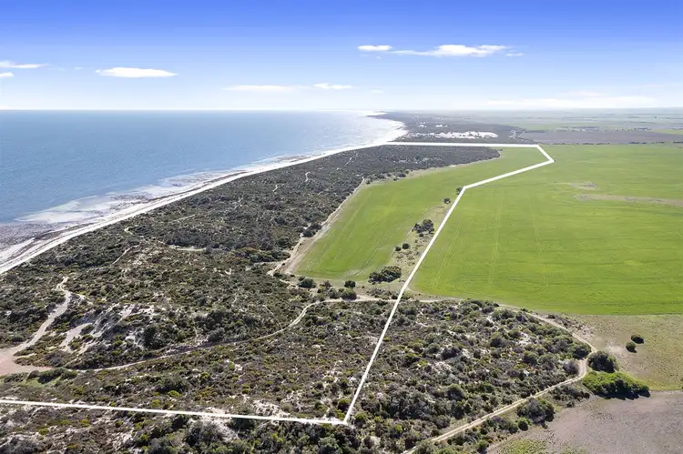 Fifth view of Homely rural property listing, Lot 12 Watson Beach Road, Minlaton SA 5575