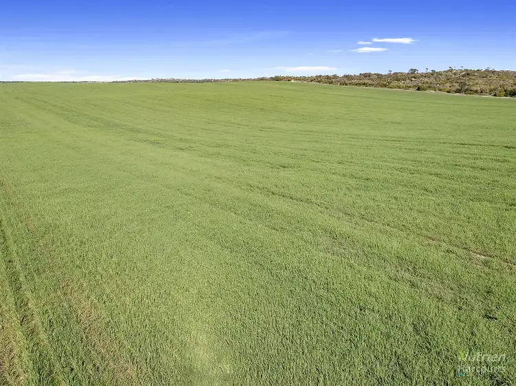 Sixth view of Homely rural property listing, Lot 12 Watson Beach Road, Minlaton SA 5575