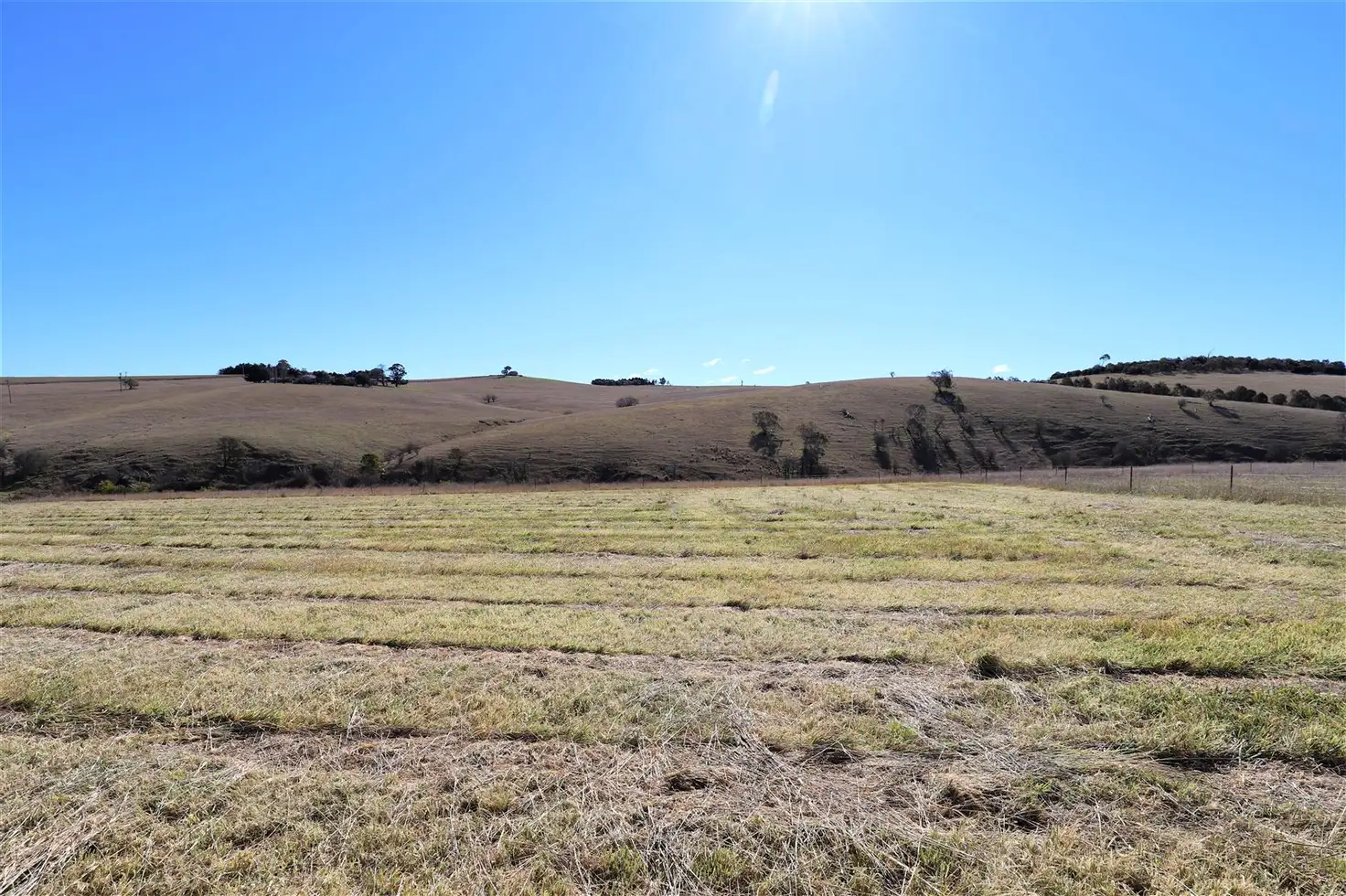 Main view of Homely land listing, Lots 1-5 Orr Street, Delegate NSW 2633
