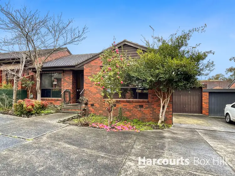 Main view of Homely unit listing, 7/6-8 Nelson Street, Ringwood VIC 3134