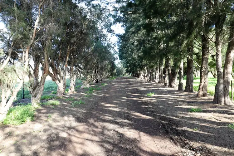 Third view of Homely rural property listing, 45 Jakattah Road, Muckenburra WA 6503