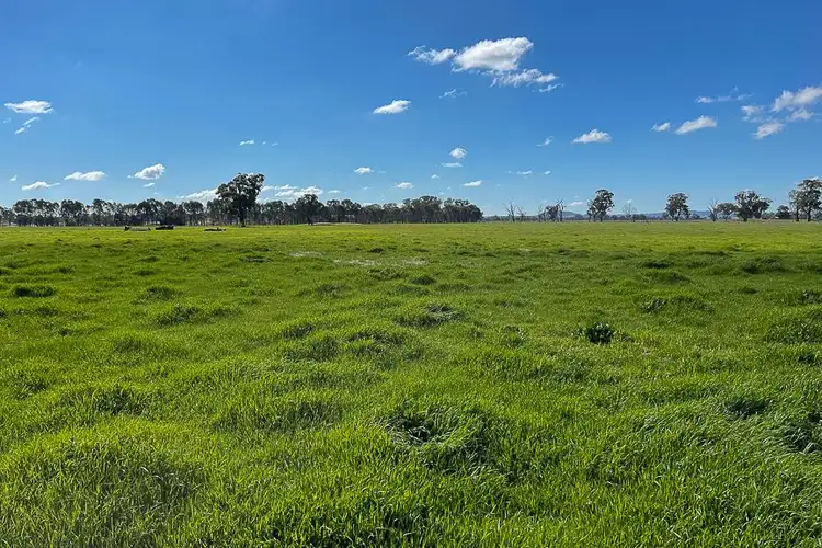 Fourth view of Homely rural property listing, CA22 Old Farnley Rd, Benalla VIC 3672