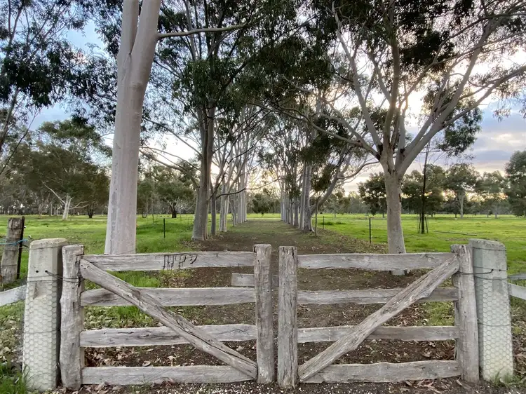 Sixth view of Homely rural property listing, "Burnima"/543 Dudley Rd, Deniliquin NSW 2710