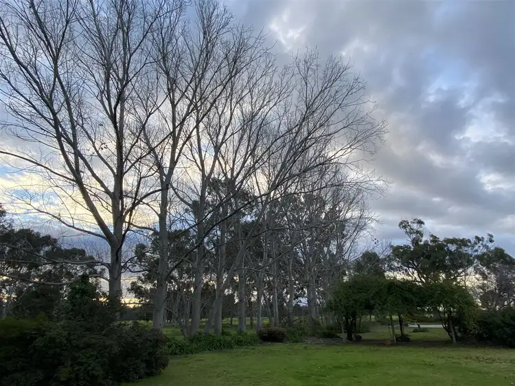 Seventh view of Homely rural property listing, "Burnima"/543 Dudley Rd, Deniliquin NSW 2710