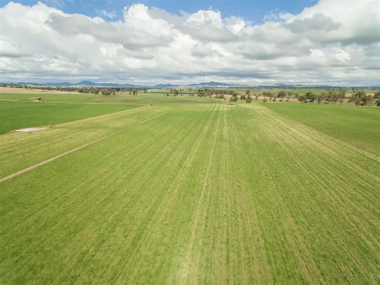 Fourth view of Homely rural property listing, 634 Loomberah Road, Tamworth NSW 2340