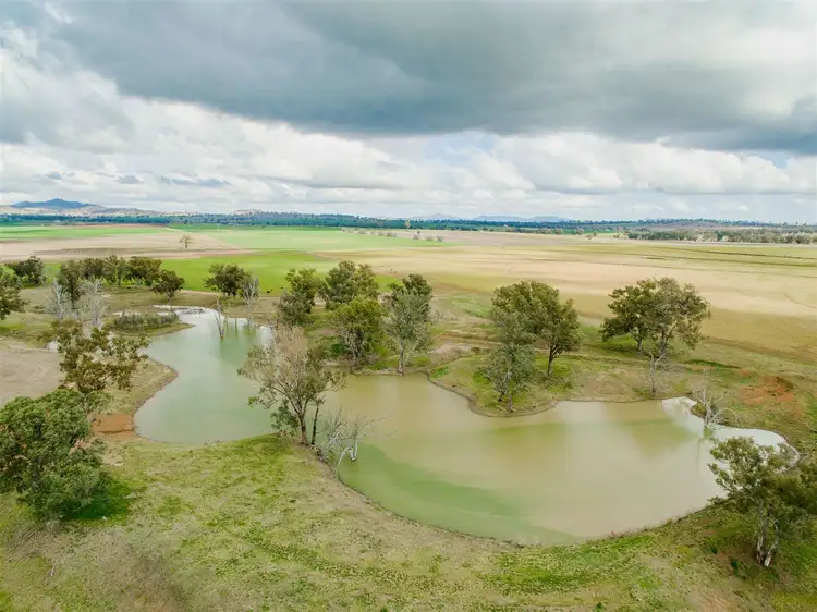 Fifth view of Homely rural property listing, 634 Loomberah Road, Tamworth NSW 2340