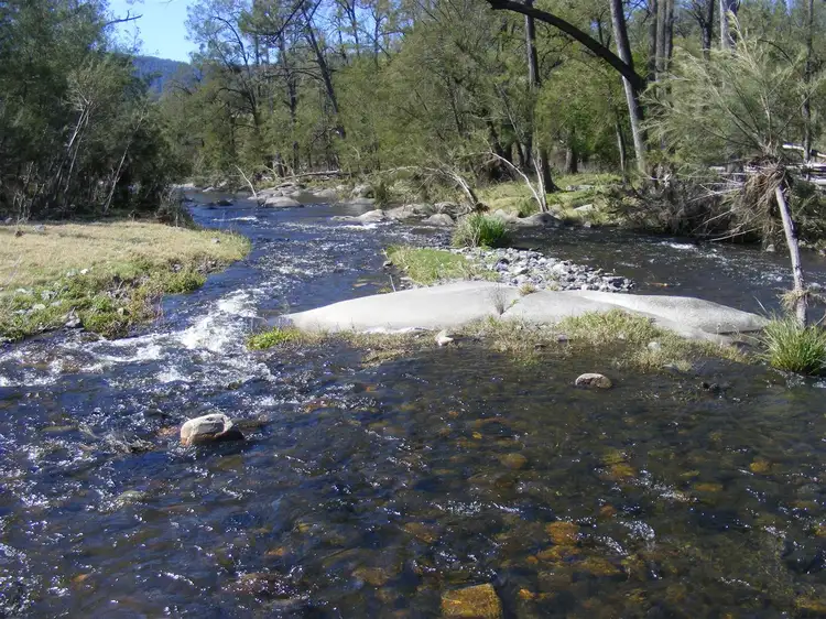 Fifth view of Homely rural property listing, 'Kintyre'/9472 Old Grafton Road, Newton Boyd via, Glen Innes NSW 2370