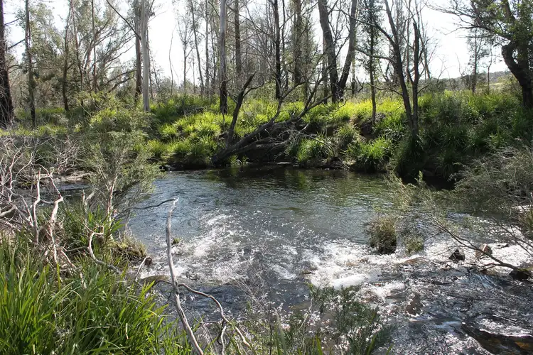 Second view of Homely rural property listing, 30 River Forest Road, Braidwood NSW 2622