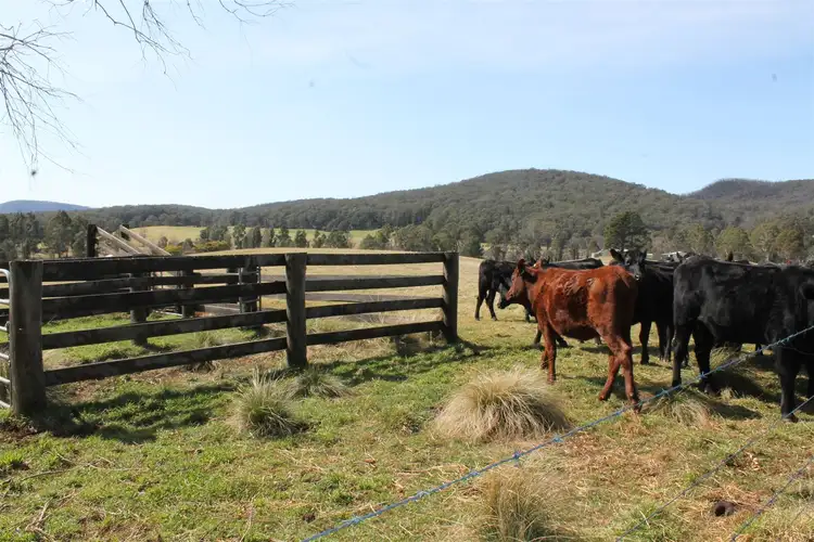 Fifth view of Homely rural property listing, 30 River Forest Road, Braidwood NSW 2622