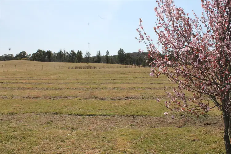 Seventh view of Homely rural property listing, 30 River Forest Road, Braidwood NSW 2622