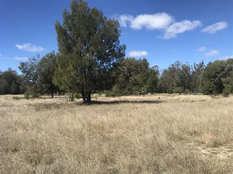 Main view of Homely rural property listing, 1238 V-Bells Road, Chinchilla QLD 4413