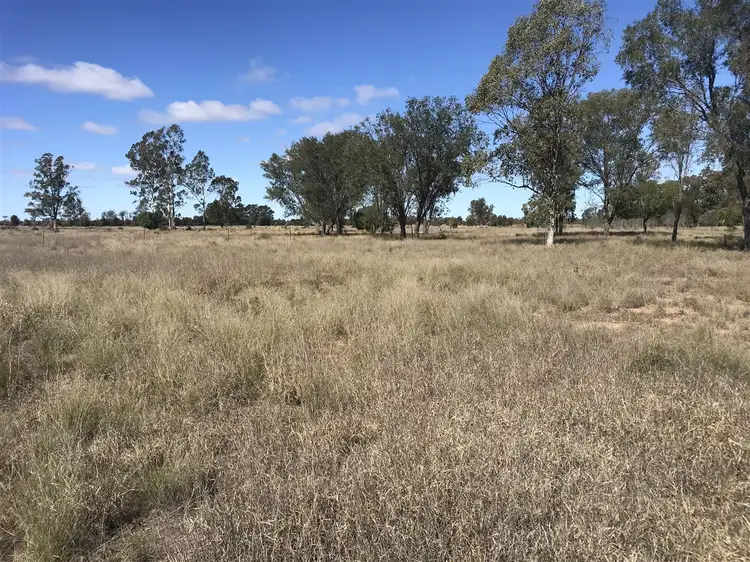 Third view of Homely rural property listing, 1238 V-Bells Road, Chinchilla QLD 4413
