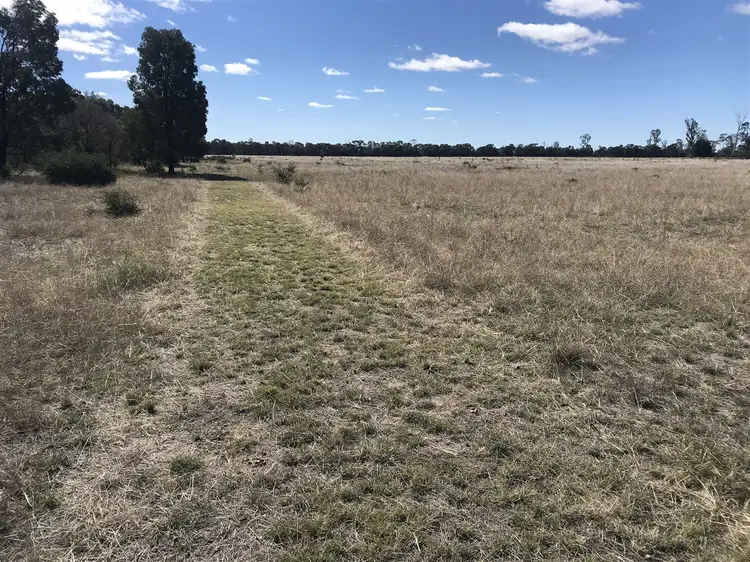 Fourth view of Homely rural property listing, 1238 V-Bells Road, Chinchilla QLD 4413
