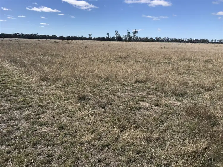 Fifth view of Homely rural property listing, 1238 V-Bells Road, Chinchilla QLD 4413