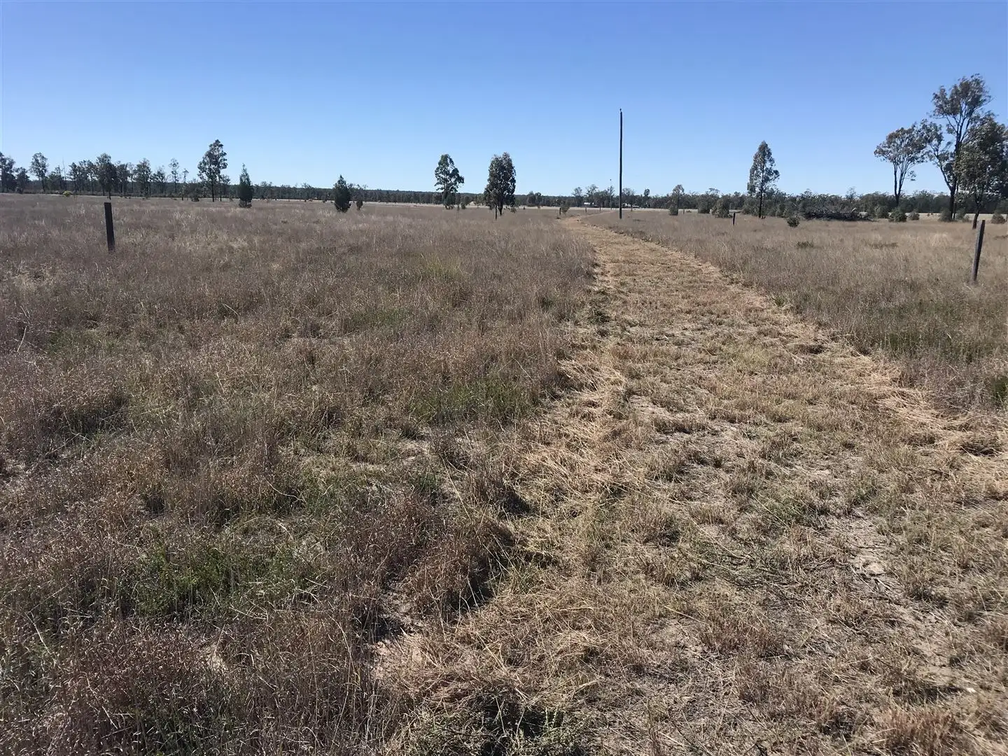 Main view of Homely rural property listing, Boort-Koi/1827 Boort-Koi Road, Miles QLD 4415