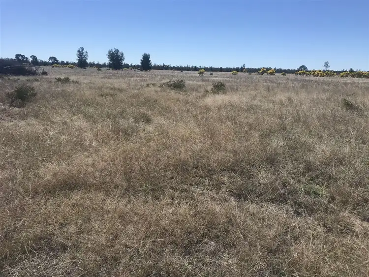 Third view of Homely rural property listing, Boort-Koi/1827 Boort-Koi Road, Miles QLD 4415